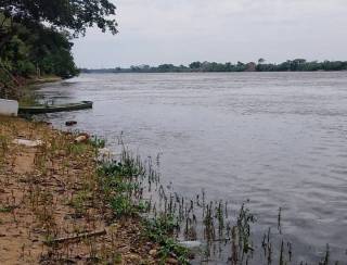 Menina de 8 anos tenta salvar irmão de afogamento e os dois morrem no rio Machado em Ji-Paraná, RO