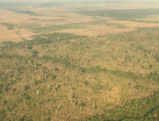 MP-RO abre inquérito para apurar desmatamento de área maior que 600 campos de futebol em RO