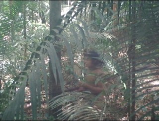 Imagens de povo indígena isolado, nunca antes visto, em Rondônia, são divulgadas pela Funai