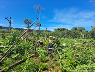 Fiscalização identifica tentativa de invasão no Parque Nacional de Pacaás Novos e TI Uru-Eu-Wau-Wau