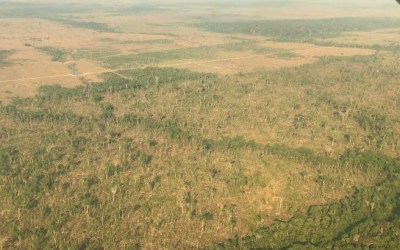 MP-RO abre inquérito para apurar desmatamento de área maior que 600 campos de futebol em RO