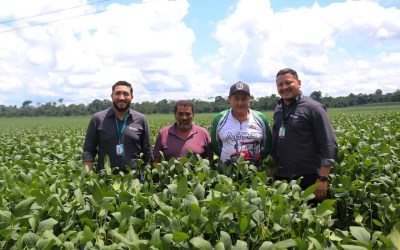 Do campo à cooperação: Sicoob Amazônia impulsiona produção rural em Rondônia