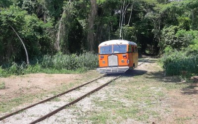 Litorina volta a fazer passeios em Porto Velho; confira a programação