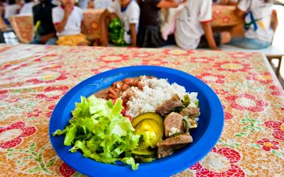 Merenda escolar poderá ter no máximo 15% de alimentos ultraprocessados