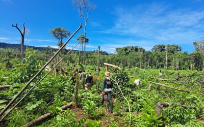 Fiscalização identifica tentativa de invasão no Parque Nacional de Pacaás Novos e TI Uru-Eu-Wau-Wau